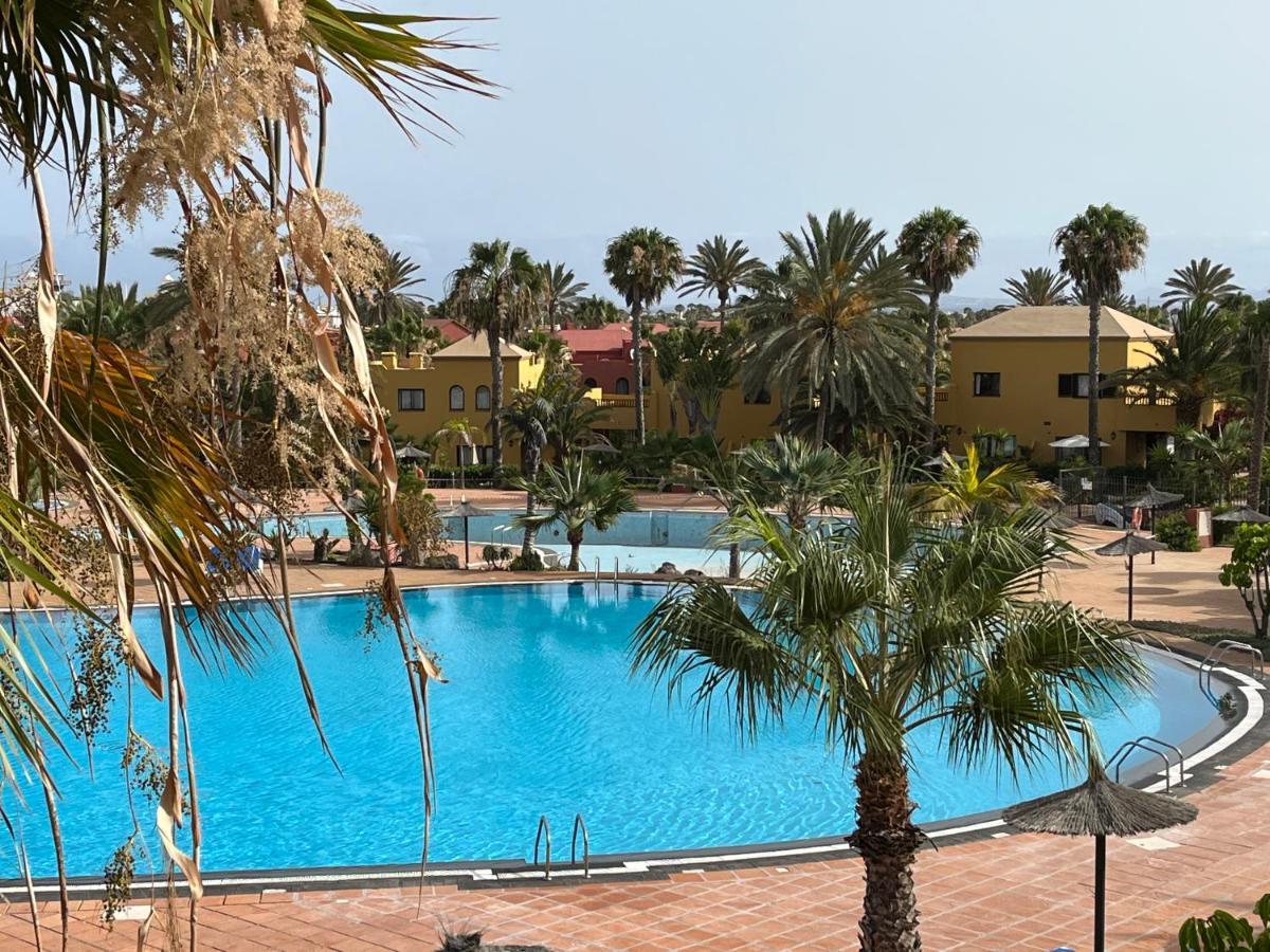 Casa Mimi Oasis Tamarindo Lejlighed Corralejo Eksteriør billede