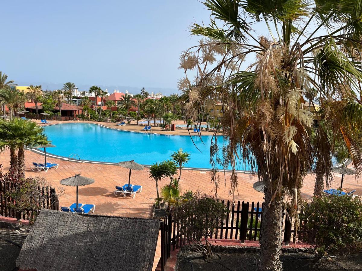 Casa Mimi Oasis Tamarindo Lejlighed Corralejo Eksteriør billede