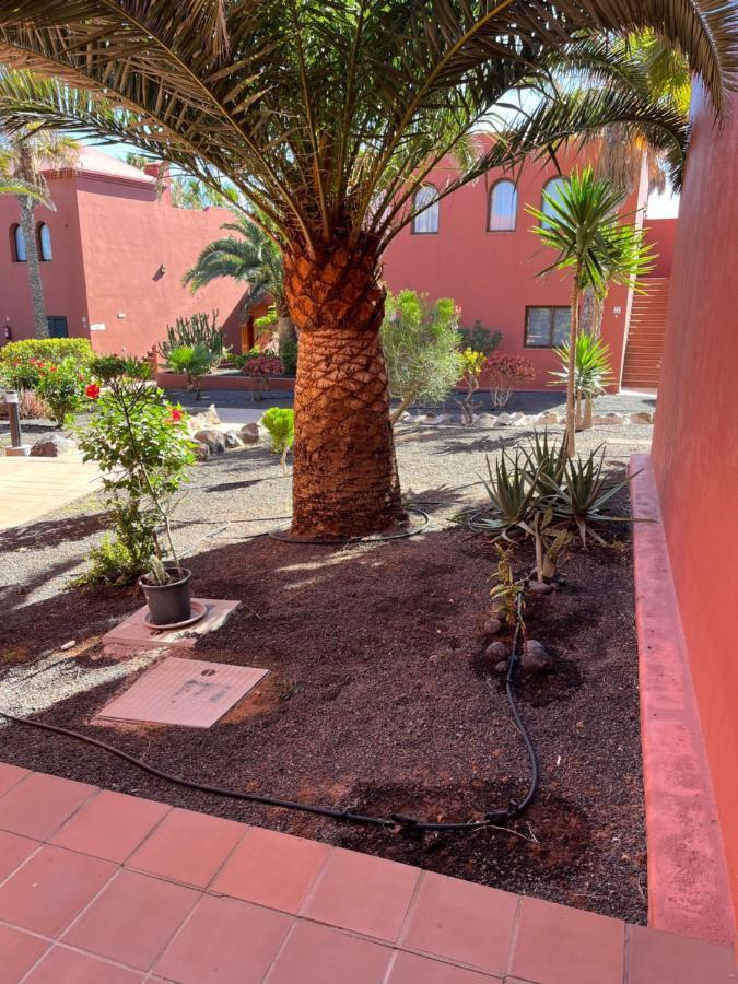 Casa Mimi Oasis Tamarindo Lejlighed Corralejo Eksteriør billede